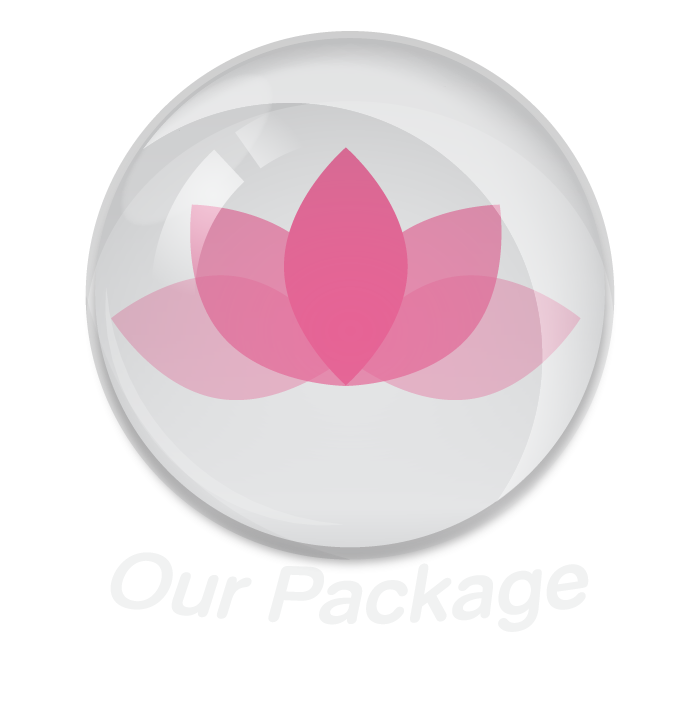 Our Package